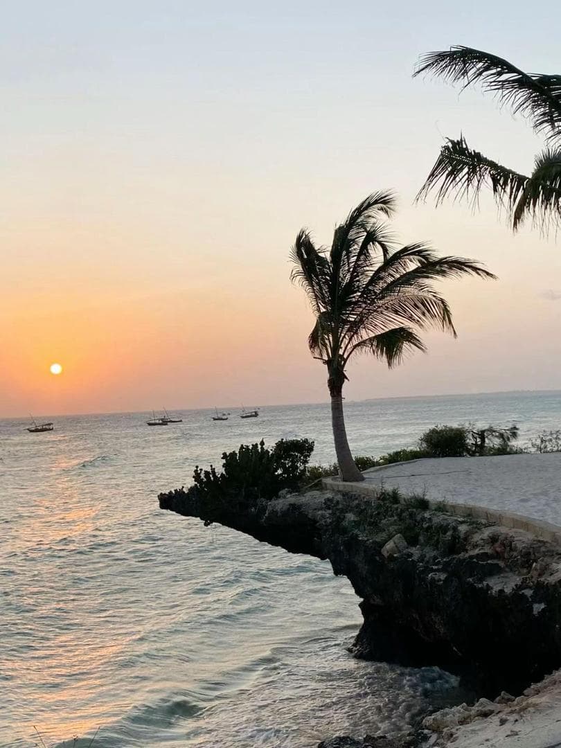 Zanzibar moment
