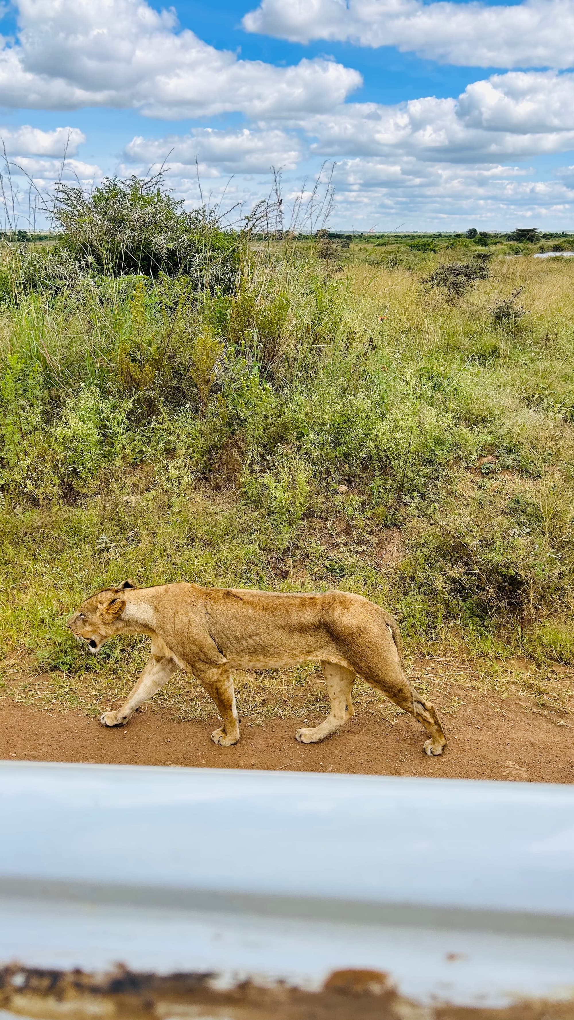 Friends in Nairobi