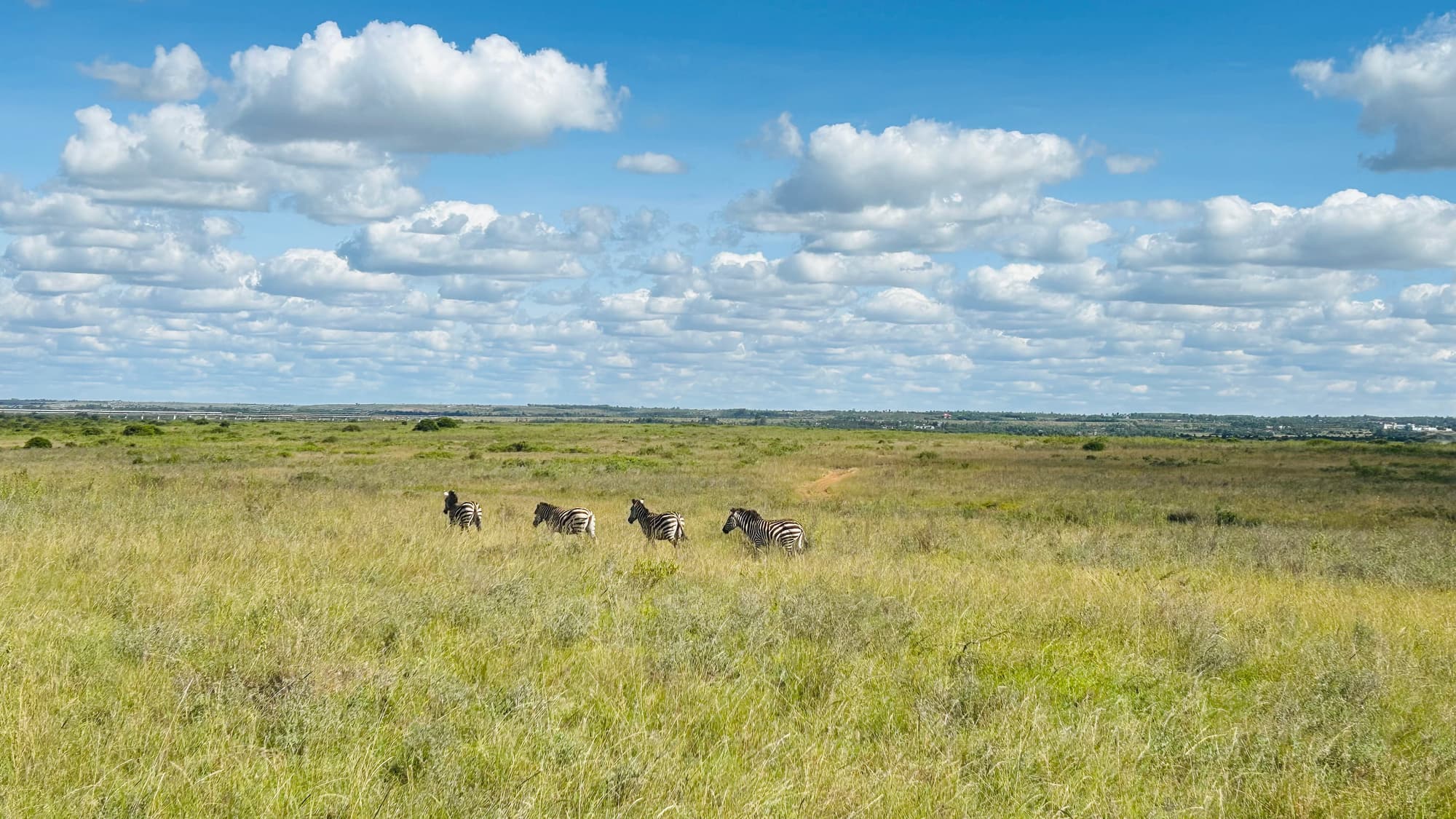 Open road in Kenya