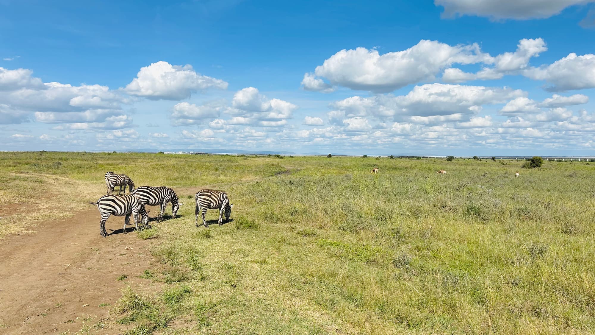 Kenya landscape
