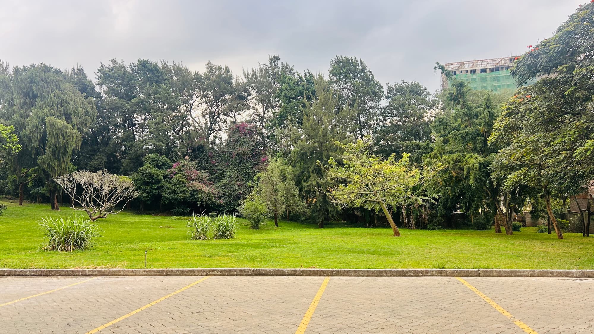 Nairobi city view