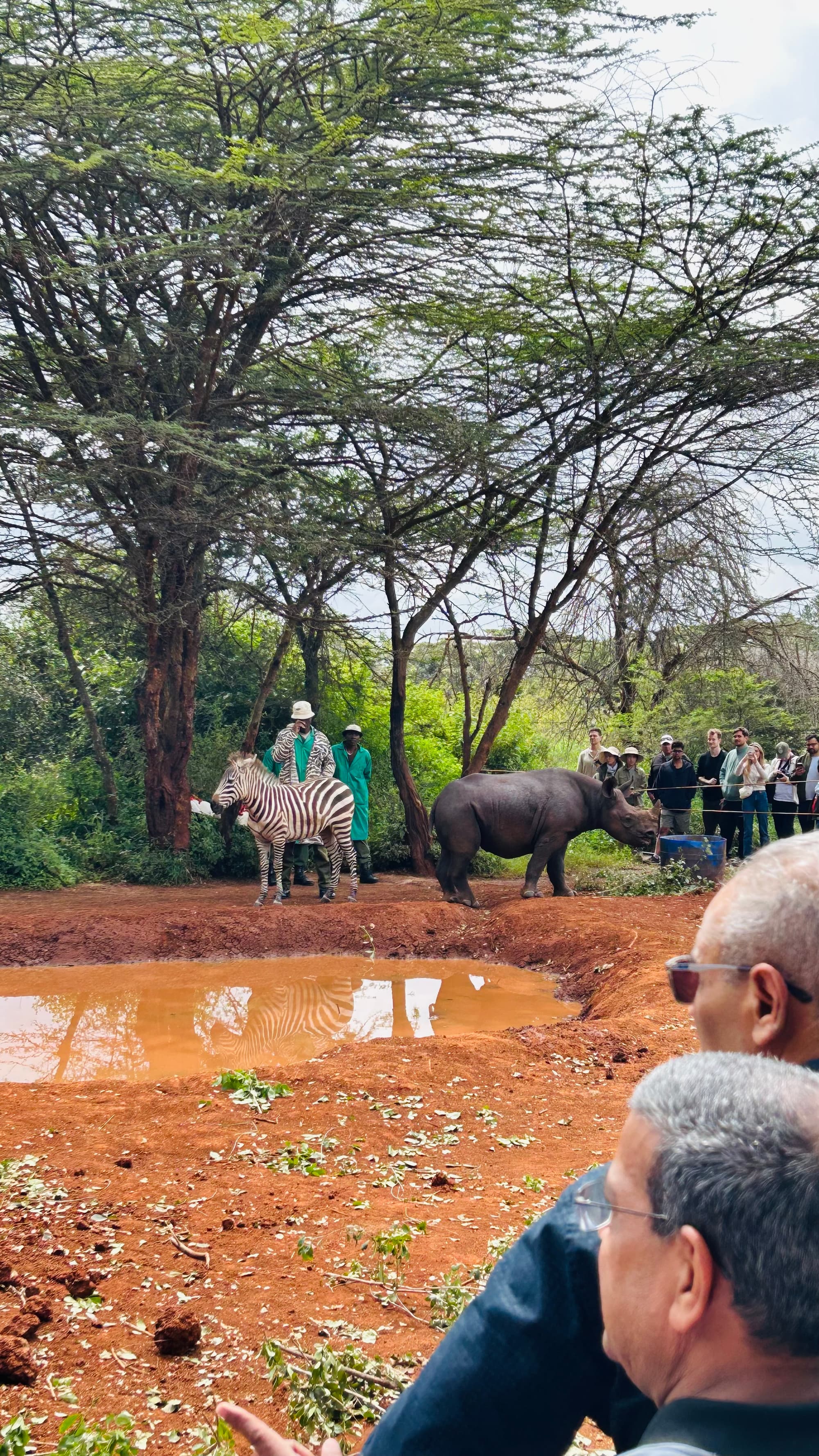 Nairobi style