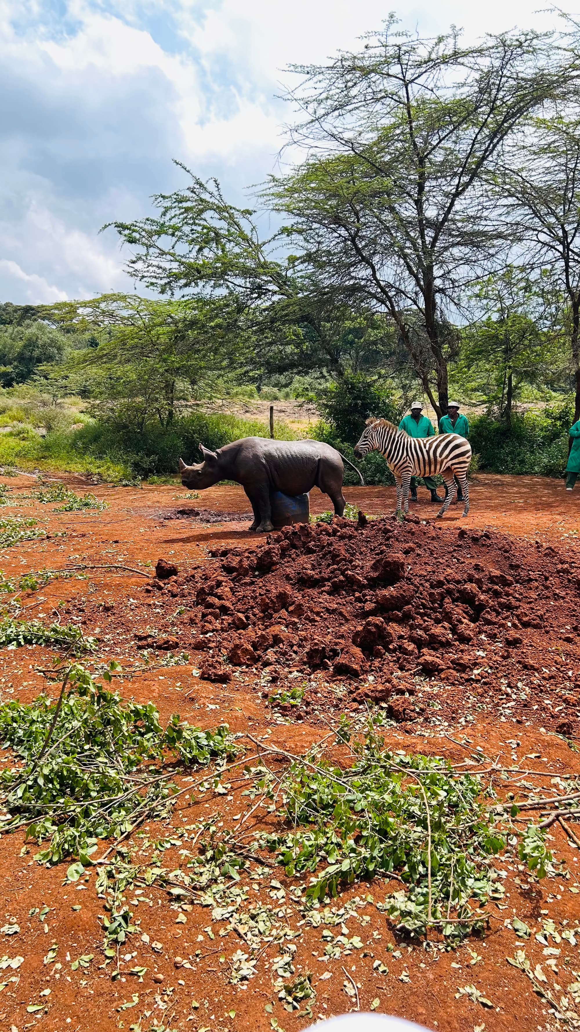 Nairobi catch