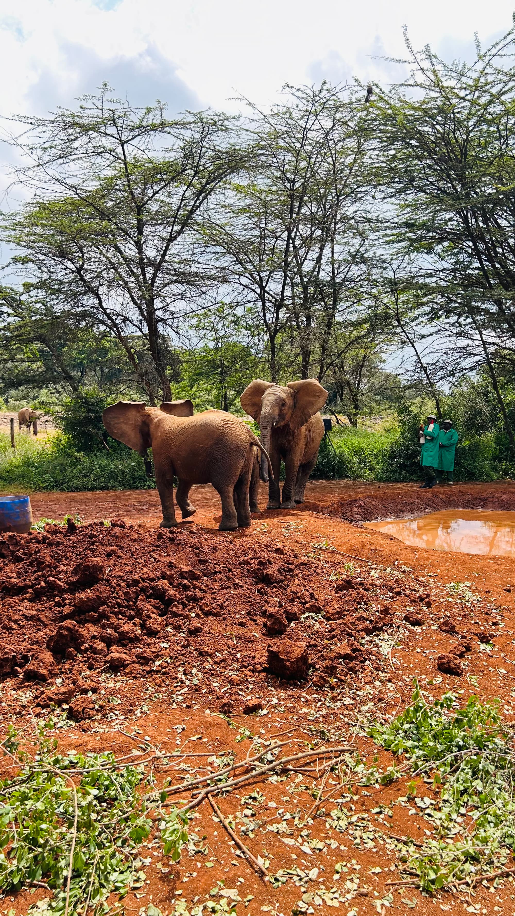 Nairobi life