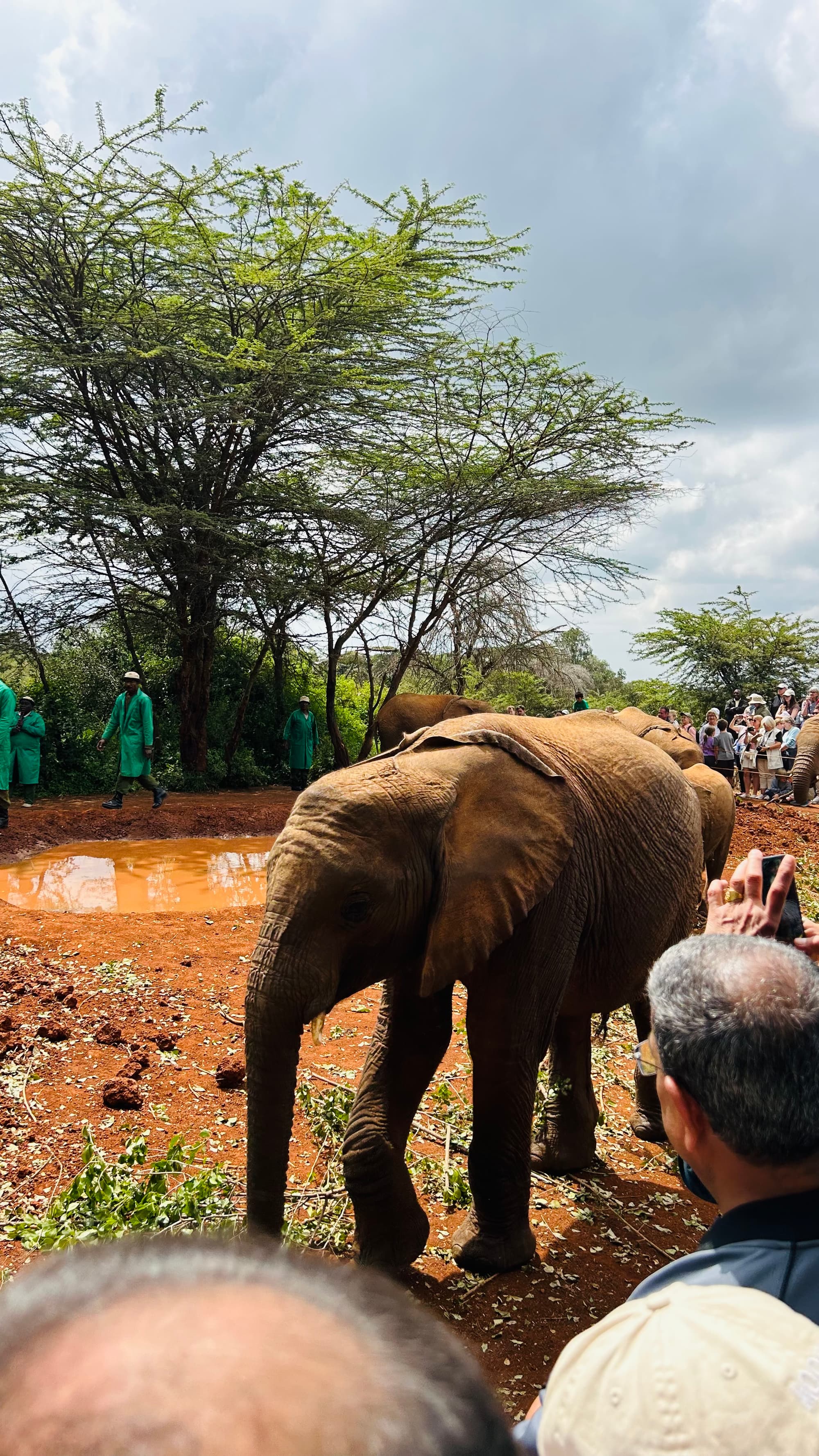 Friends in Nairobi