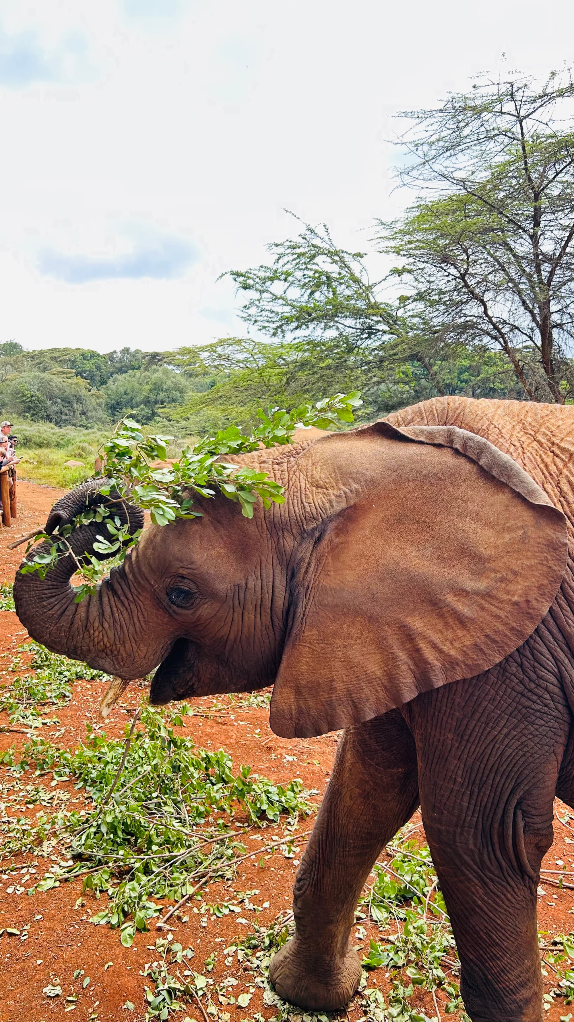 Scene in Nairobi