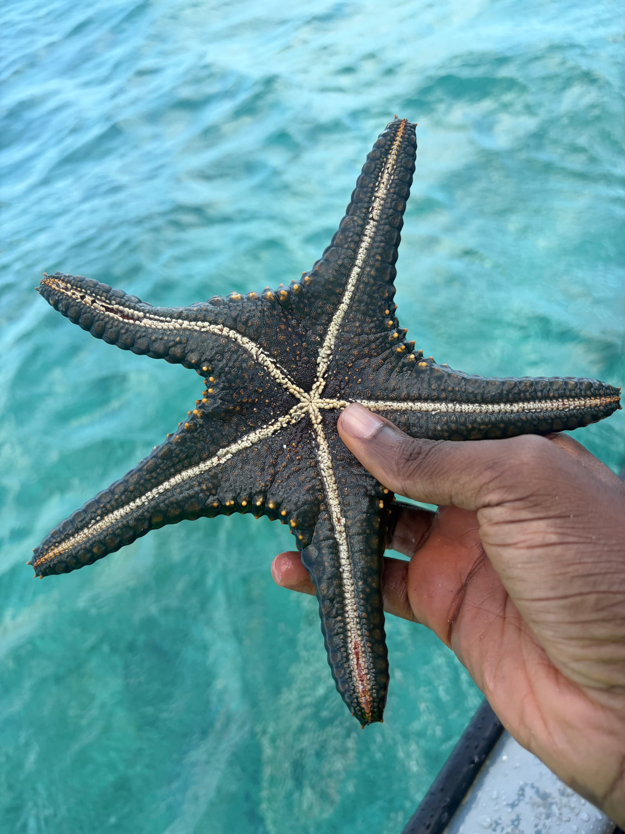 Blue sky over Zanzibar