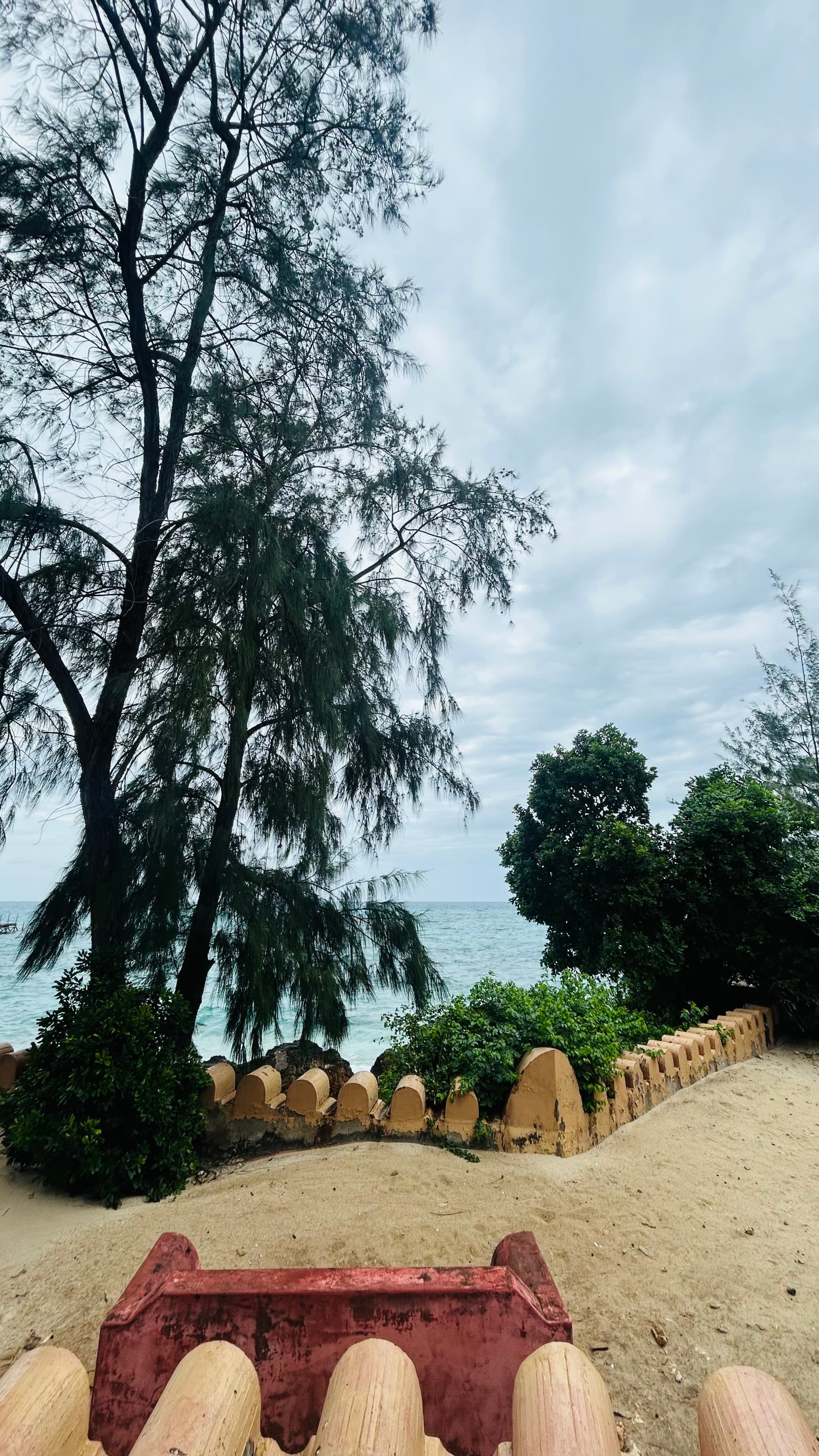 Zanzibar wandering