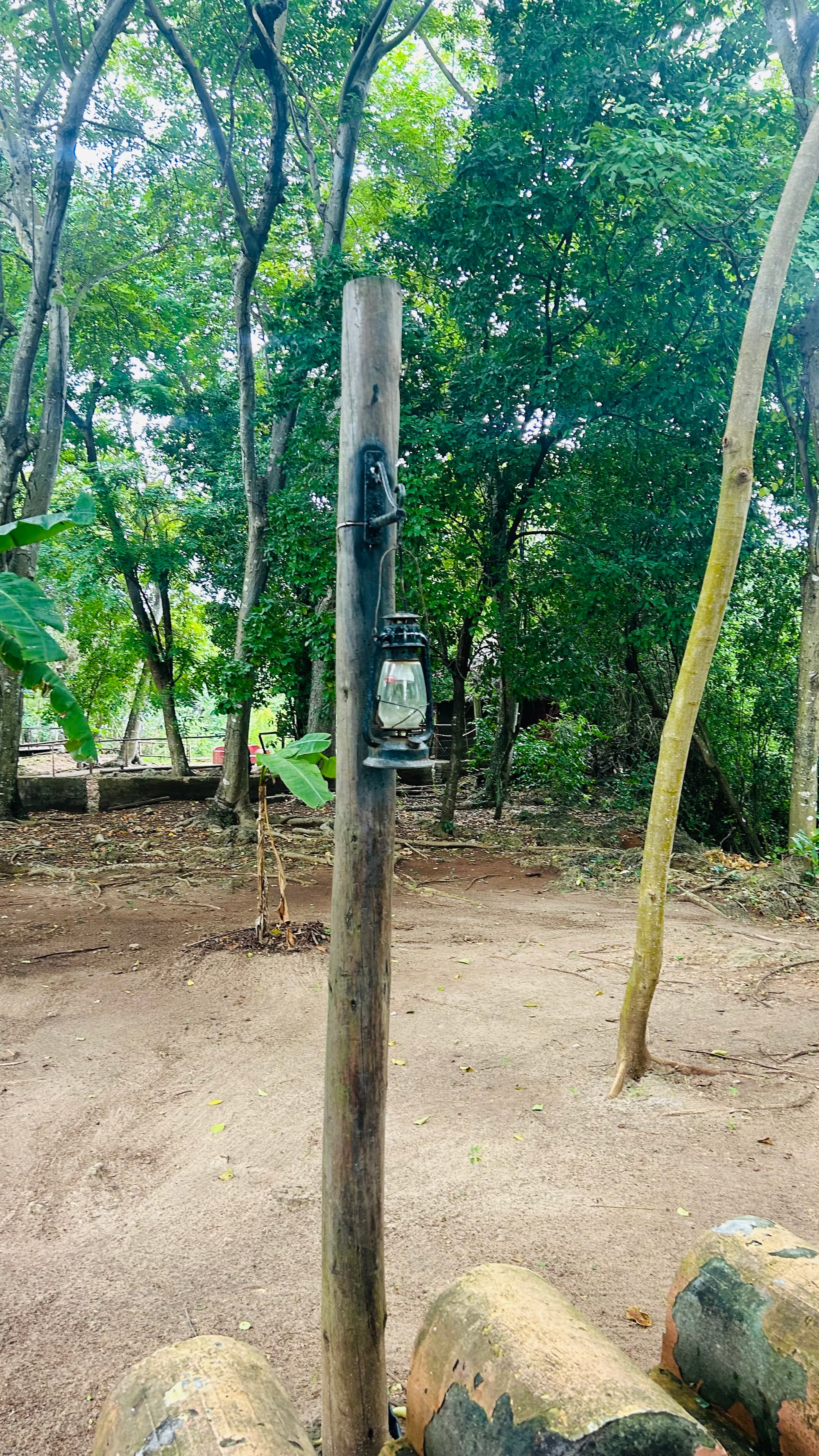 Zanzibar light