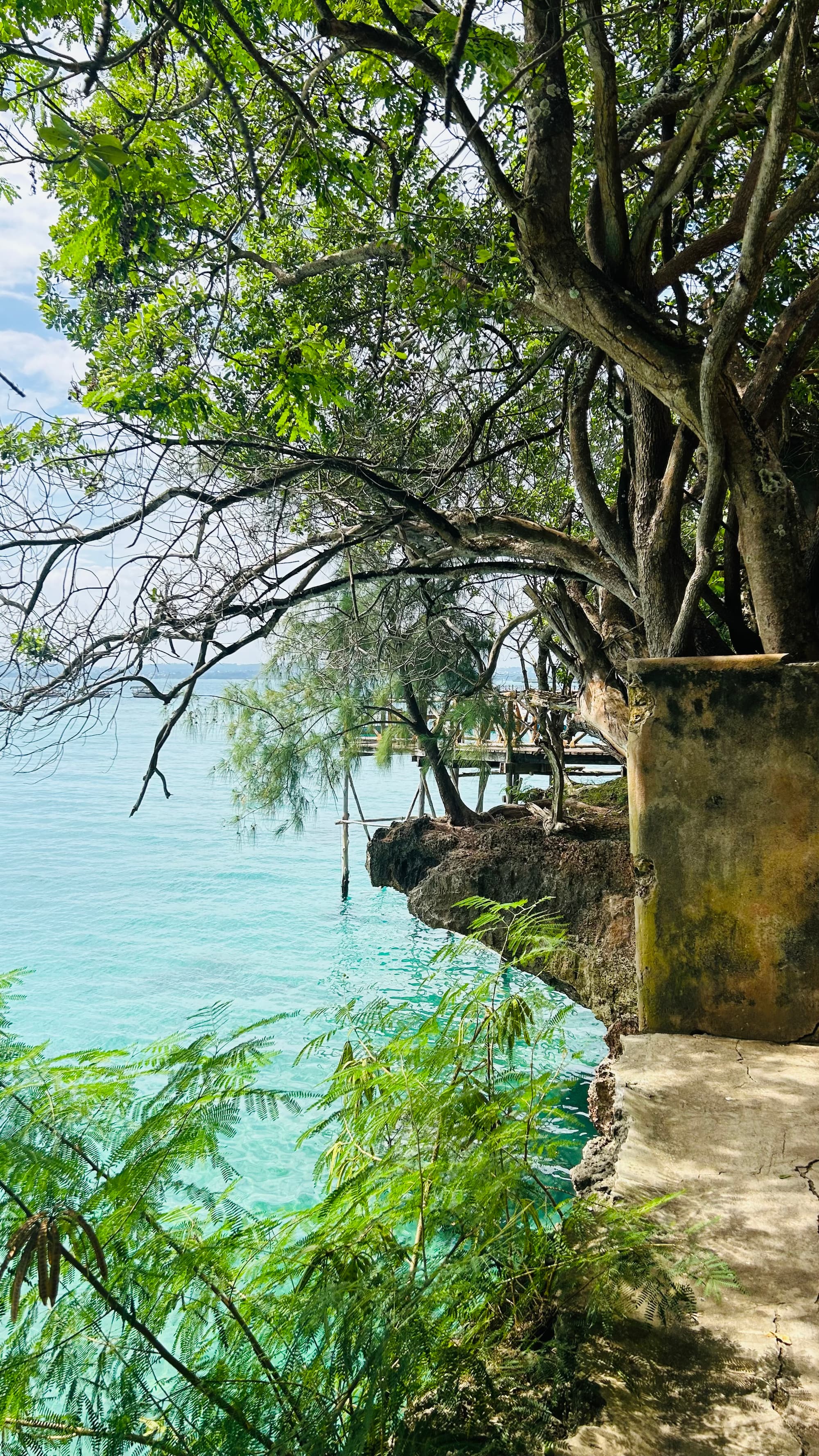 Zanzibar scene