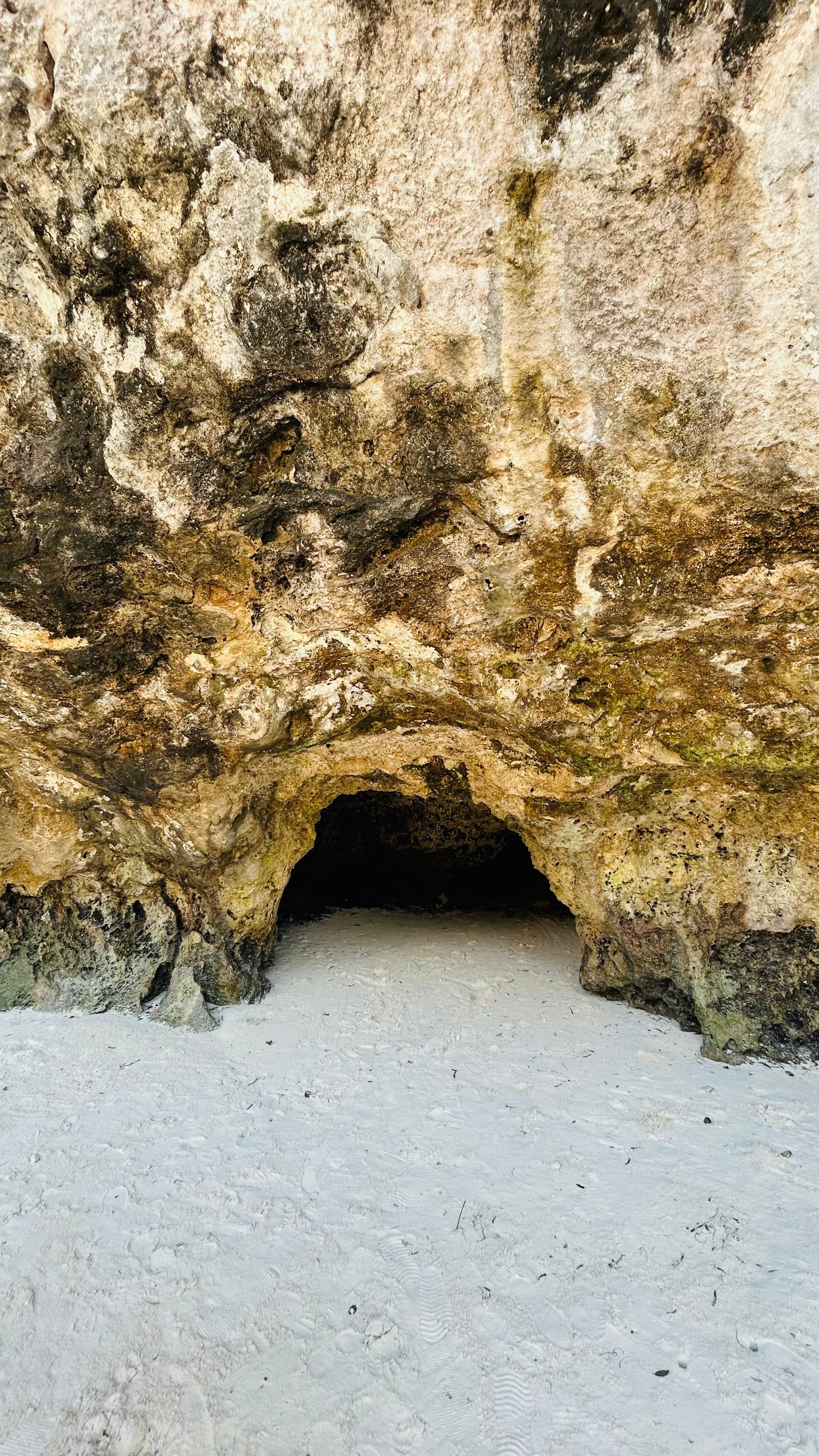 Zanzibar landscape
