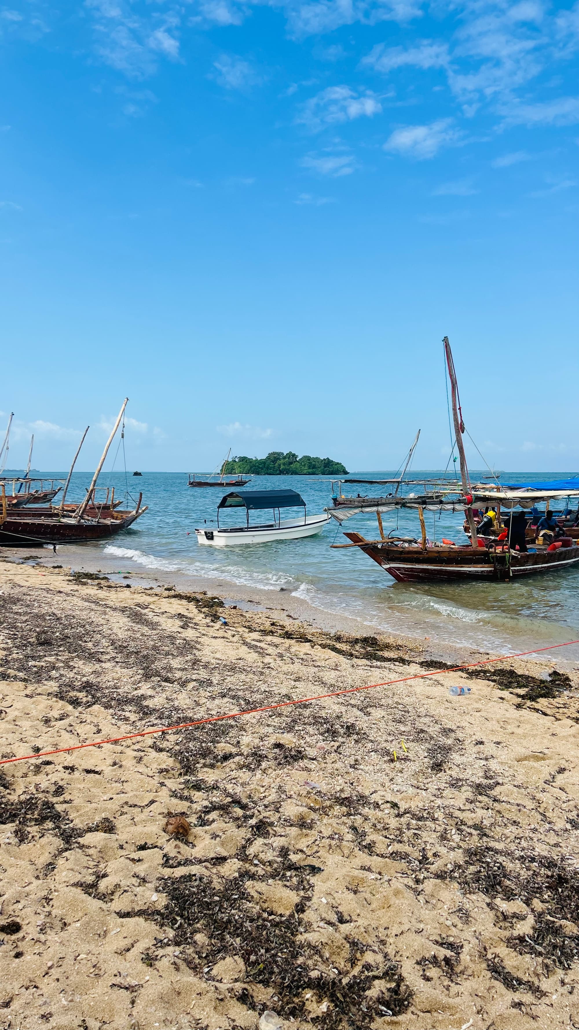 Zanzibar coast