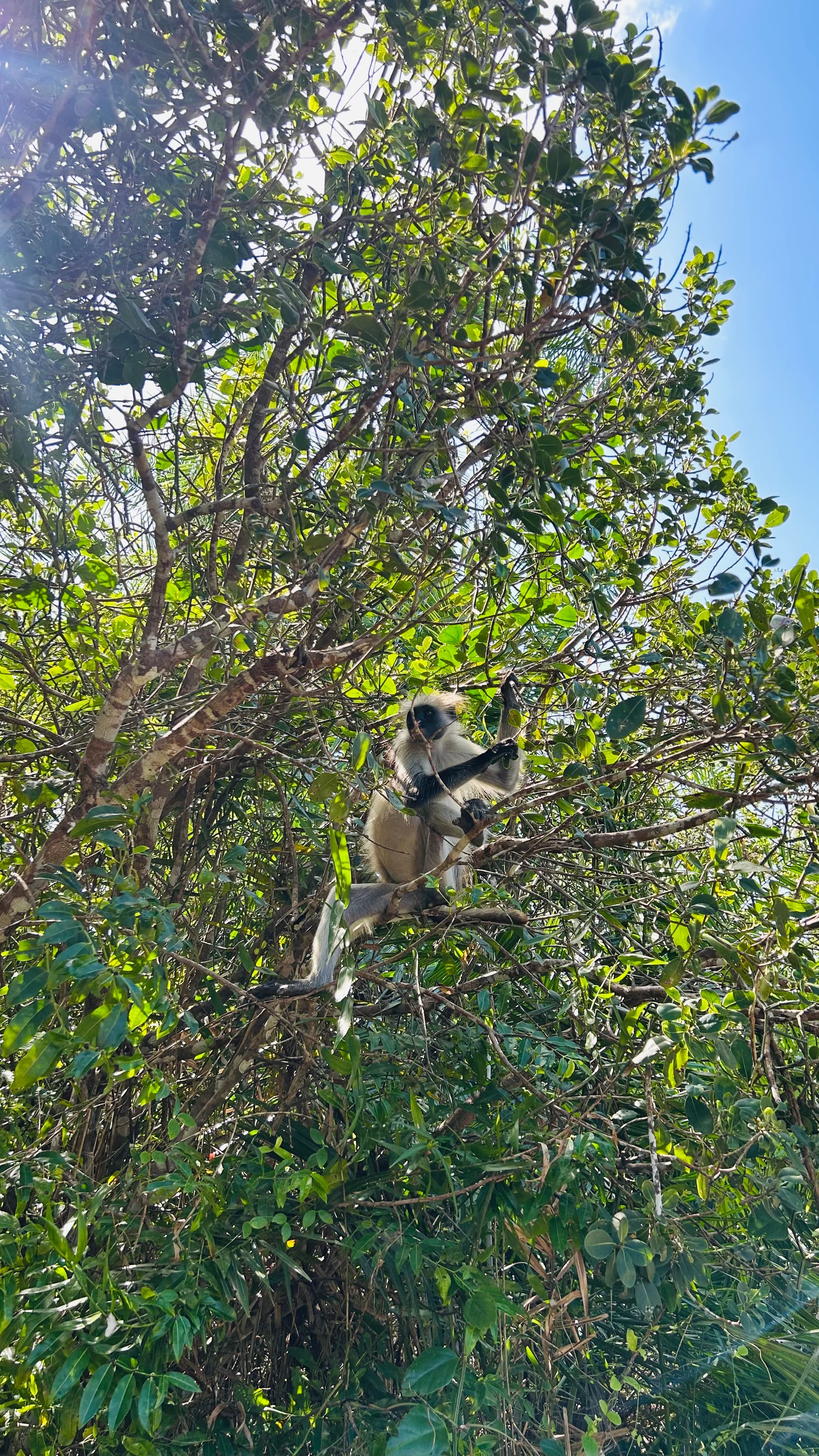 Zanzibar life