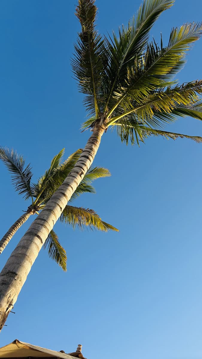 Zanzibar